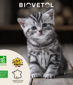 Vermifuge Biovetol Bio Naturel Chat Chaton