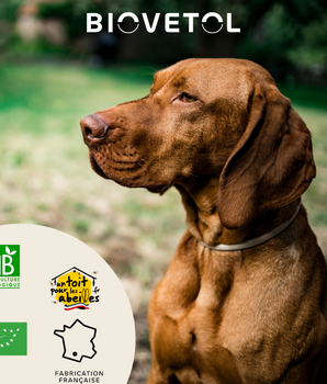 Vermifuge Biovetol Bio Naturel Grand Chien