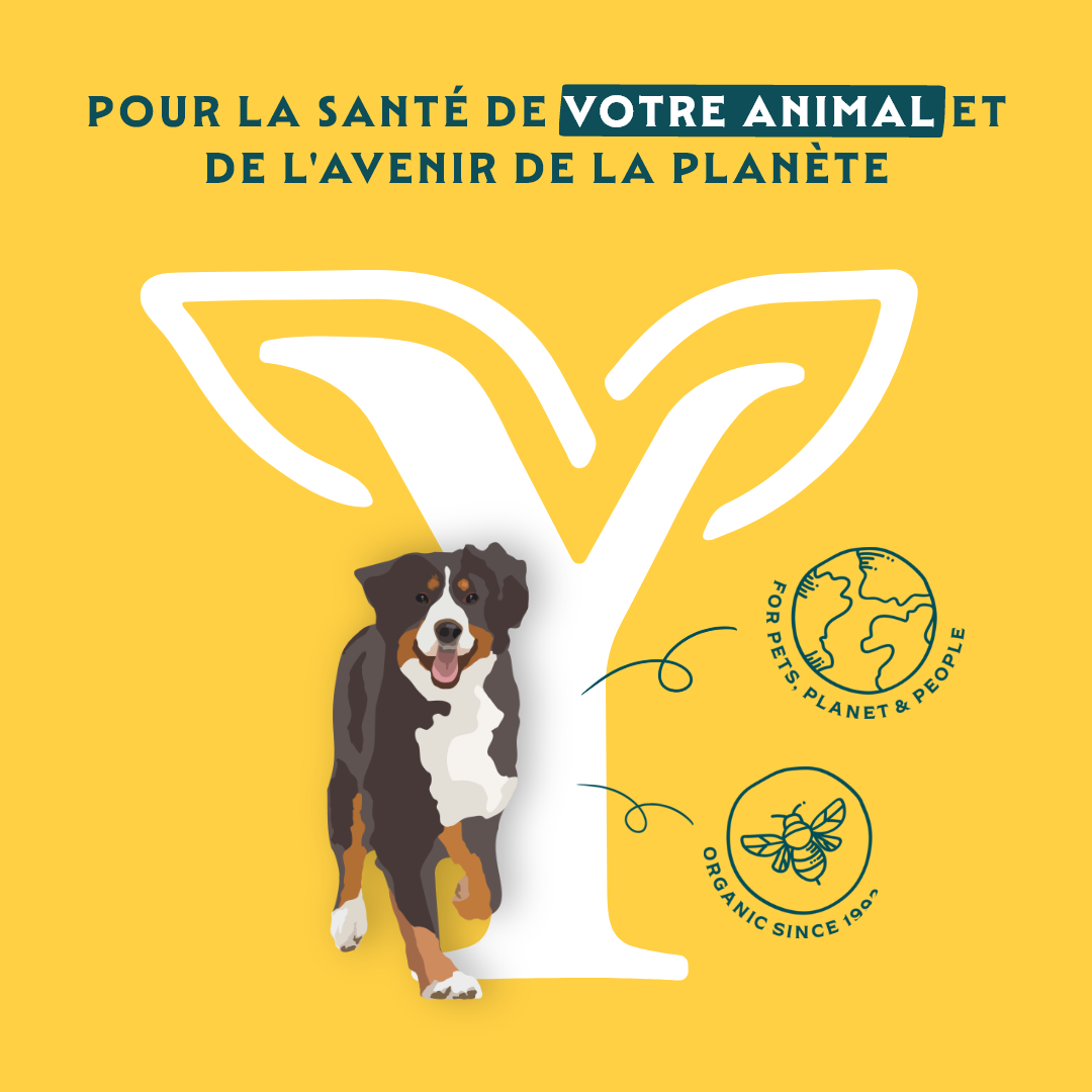 Yarrah Batonnets a macher Bio au Bœuf pour Chien