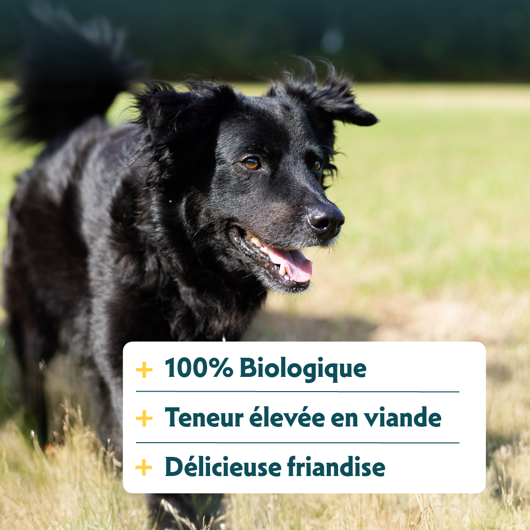 Yarrah Batonnets a macher Bio au Bœuf pour Chien