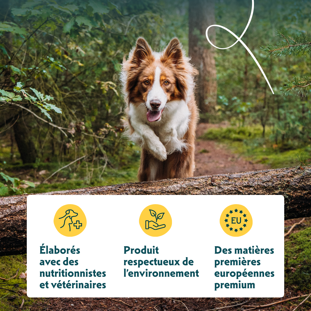 Yarrah Batonnets a macher Bio au Bœuf pour Chien