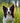 Yarrah Bouchees Bio Vegetariennes Sans Cereales Chien