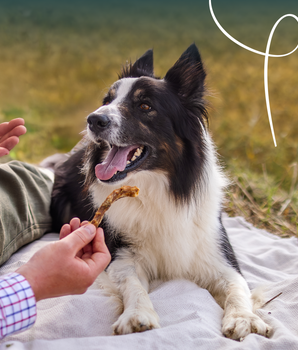 Yarrah Cous de Poulets Biologiques pour Chien