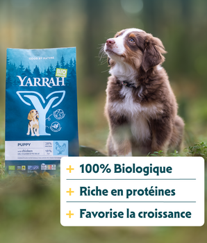 Yarrah Croquettes Bio Poulet & Poisson pour Chiot