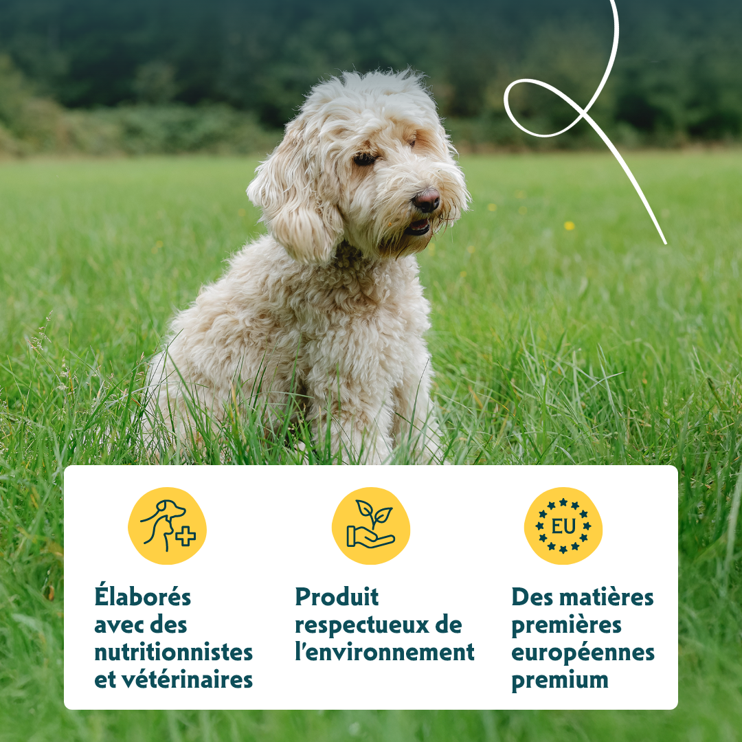 Yarrah Croquettes Bio Sans Cereales Poulet & Poisson pour Chien