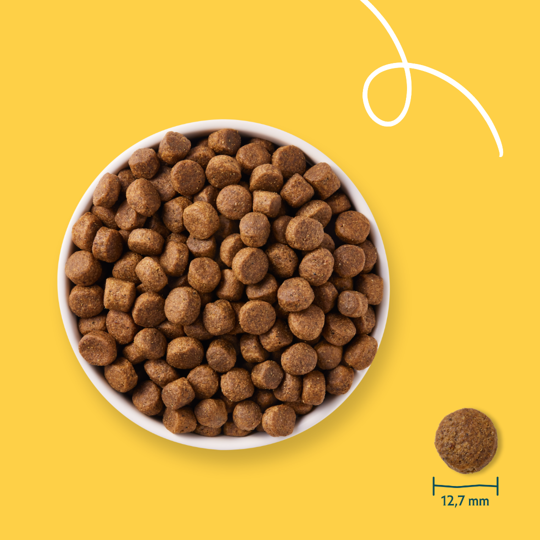 Yarrah Croquettes Bio Sans Cereales Poulet & Poisson pour Chien