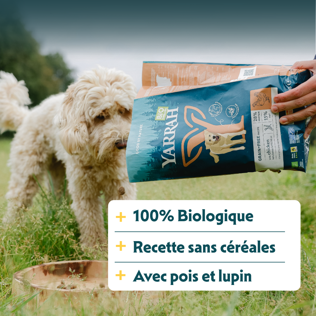 Yarrah Croquettes Bio Sans Cereales Poulet & Poisson pour Chien