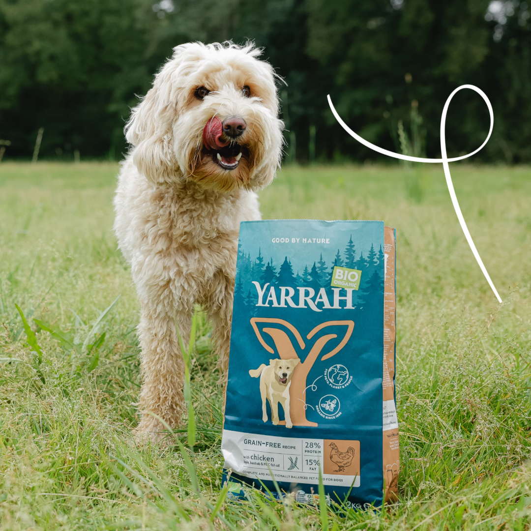 Yarrah Croquettes Bio Sans Cereales Poulet & Poisson pour Chien