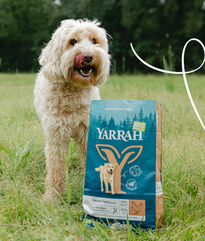 Yarrah Croquettes Bio Sans Cereales Poulet & Poisson pour Chien