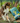 Yarrah Croquettes Biologiques Poulet & Poisson pour Chien