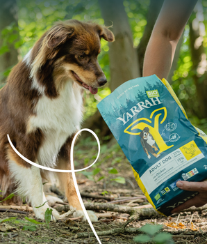 Yarrah Croquettes Biologiques Poulet & Poisson pour Chien